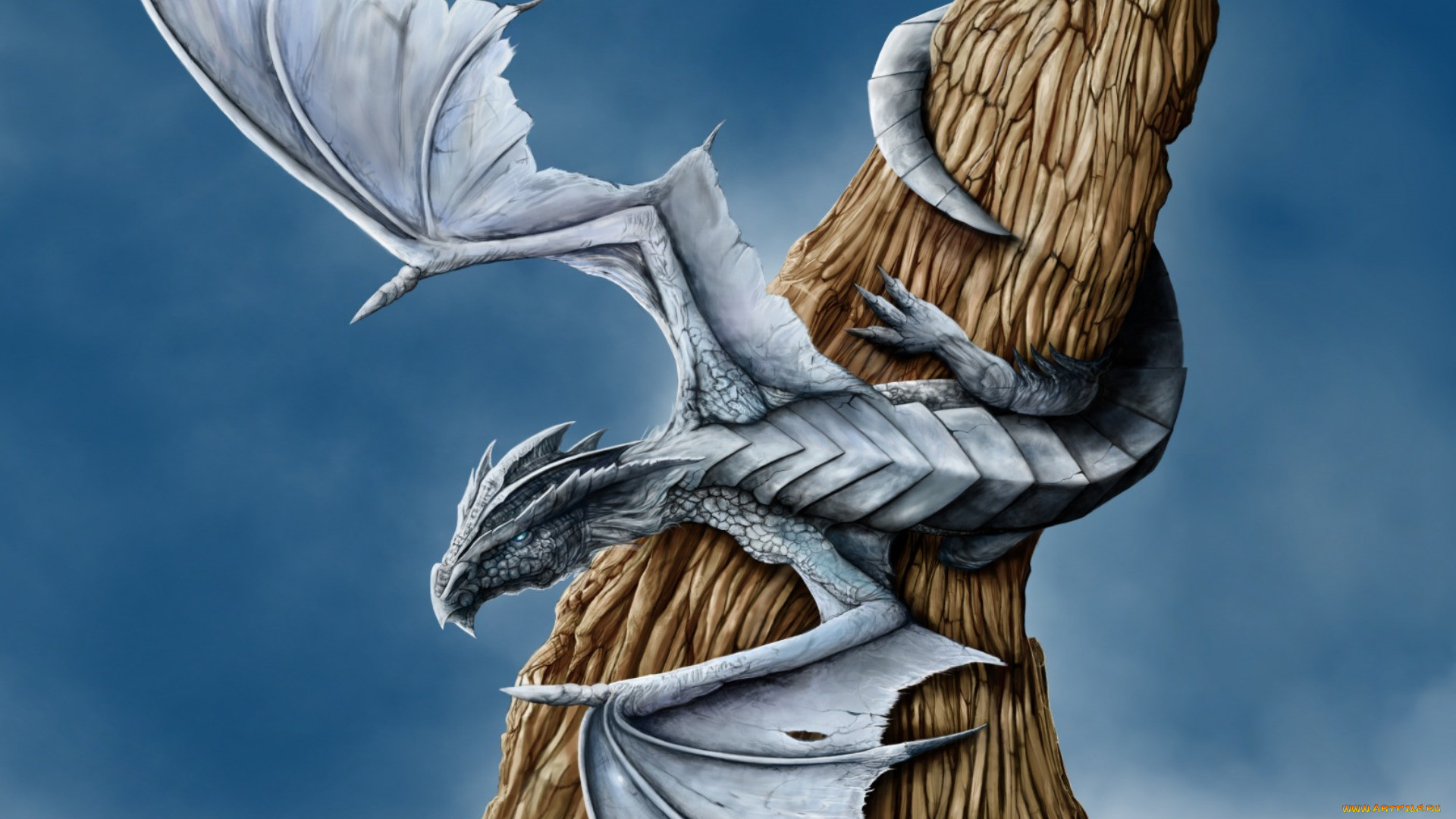 dragon, , , , , 